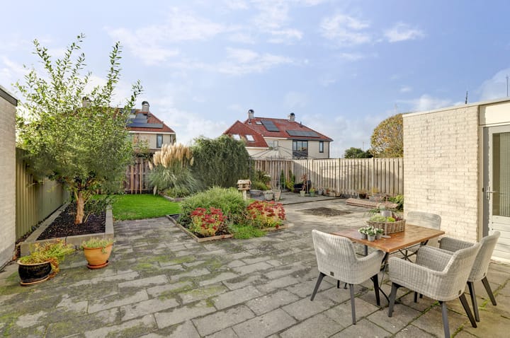 Photo 24 of Meerkoet 15