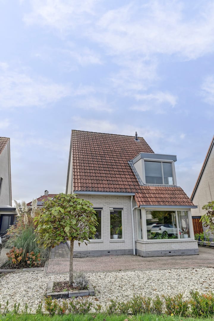 Photo 26 of Meerkoet 15