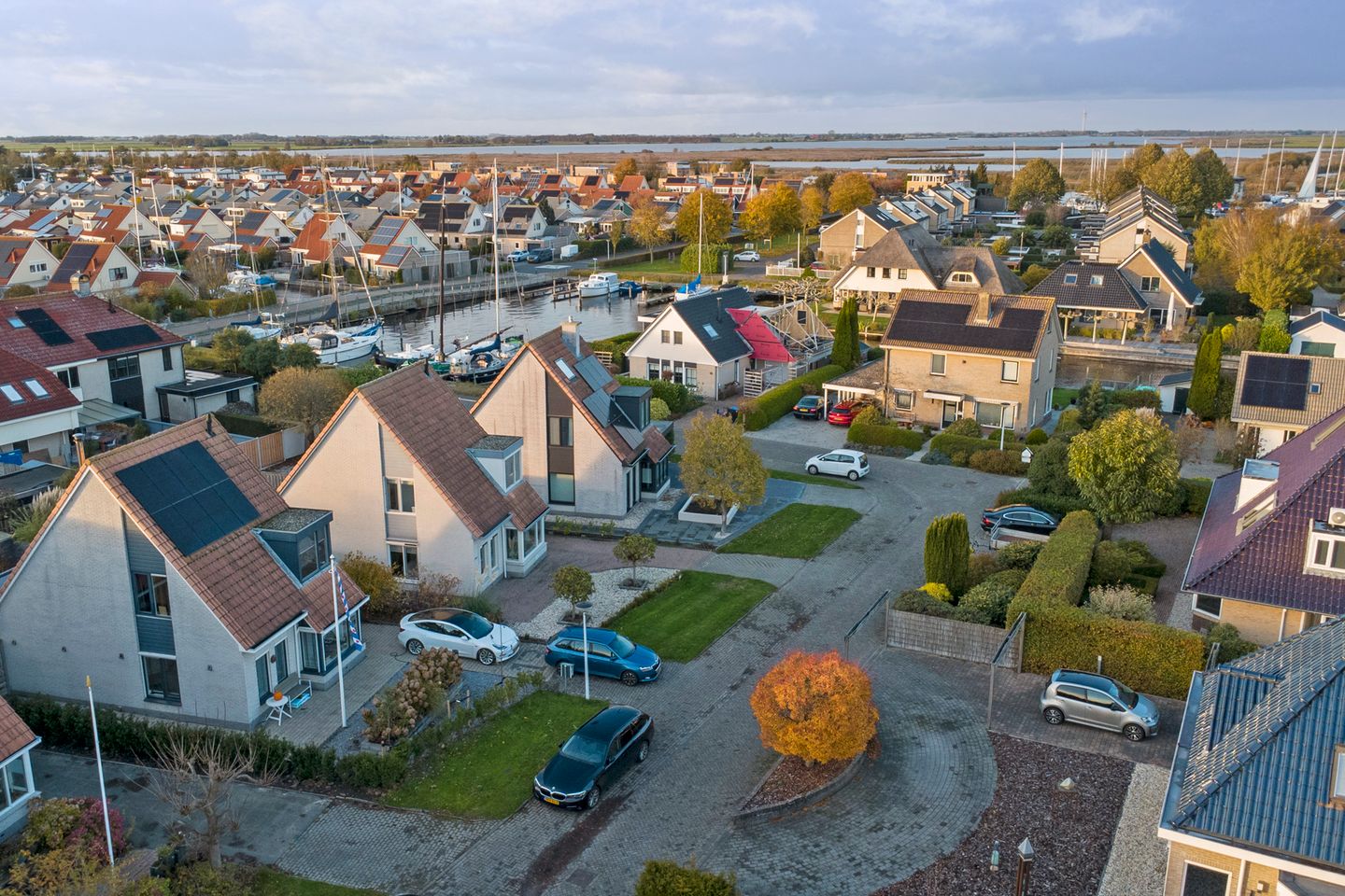 Photo 1 of Meerkoet 15