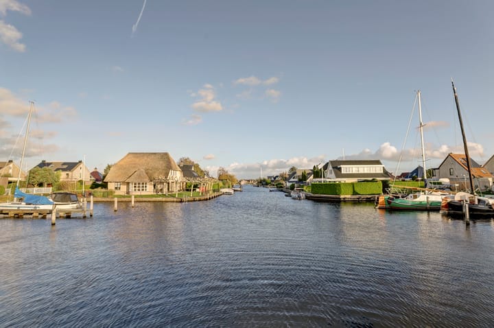 Photo 30 of Meerkoet 15