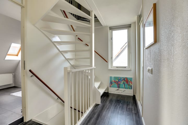 Photo 16 of Meerkoet 15