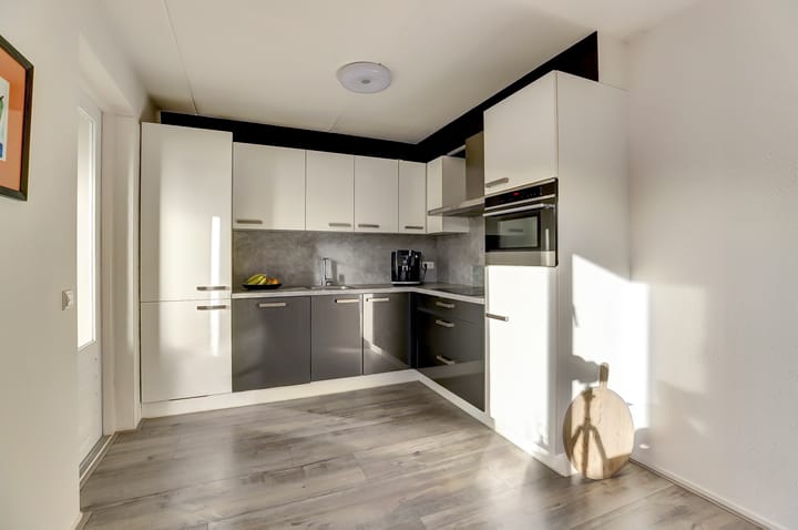 Photo 12 of Meerkoet 15