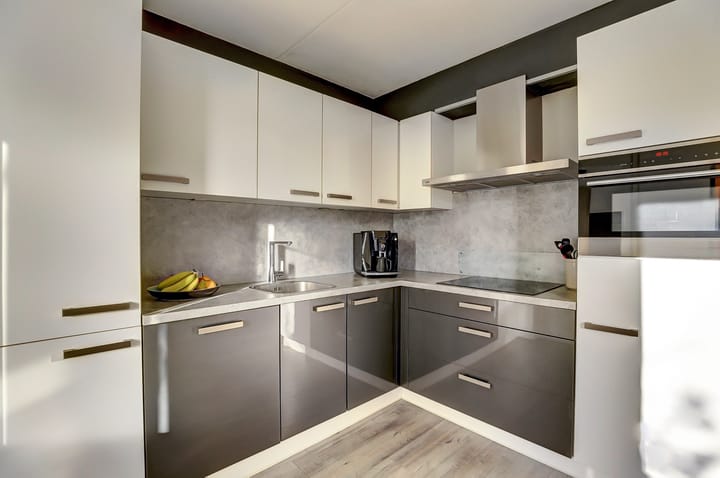 Photo 14 of Meerkoet 15