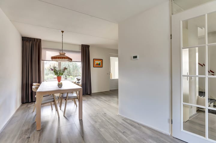 Photo 9 of Meerkoet 15