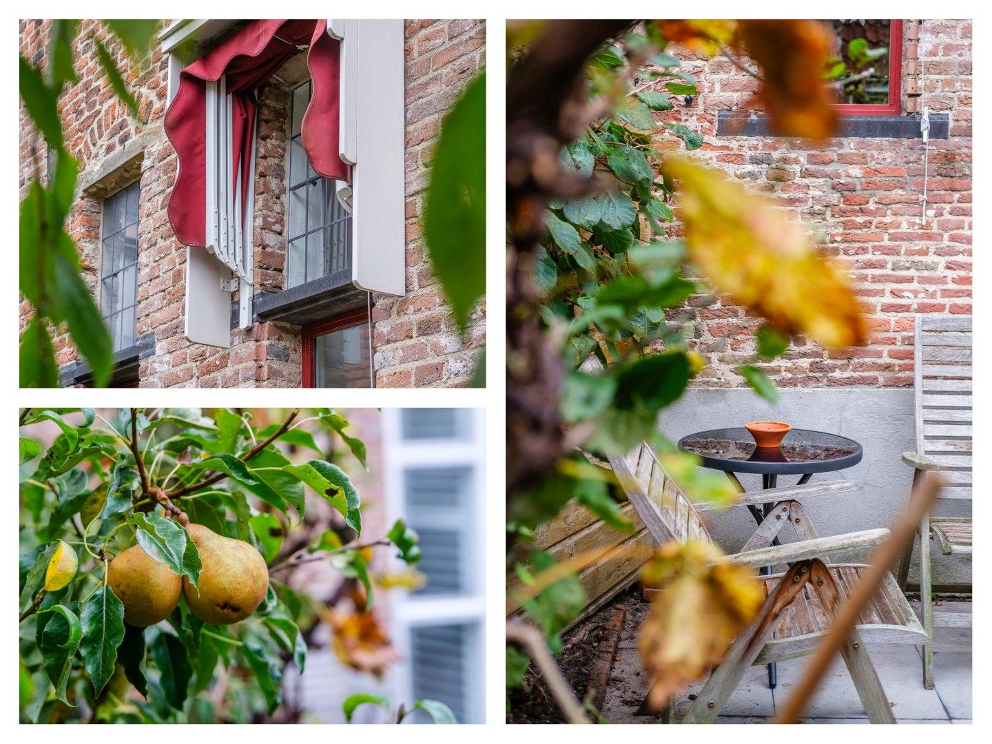 Foto 33 van Hofstraat 16