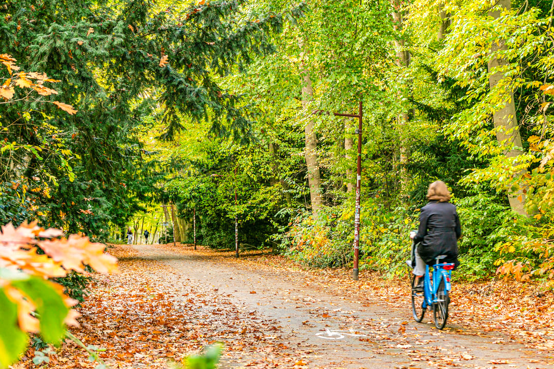 Foto 31 van Karbouwstraat 9