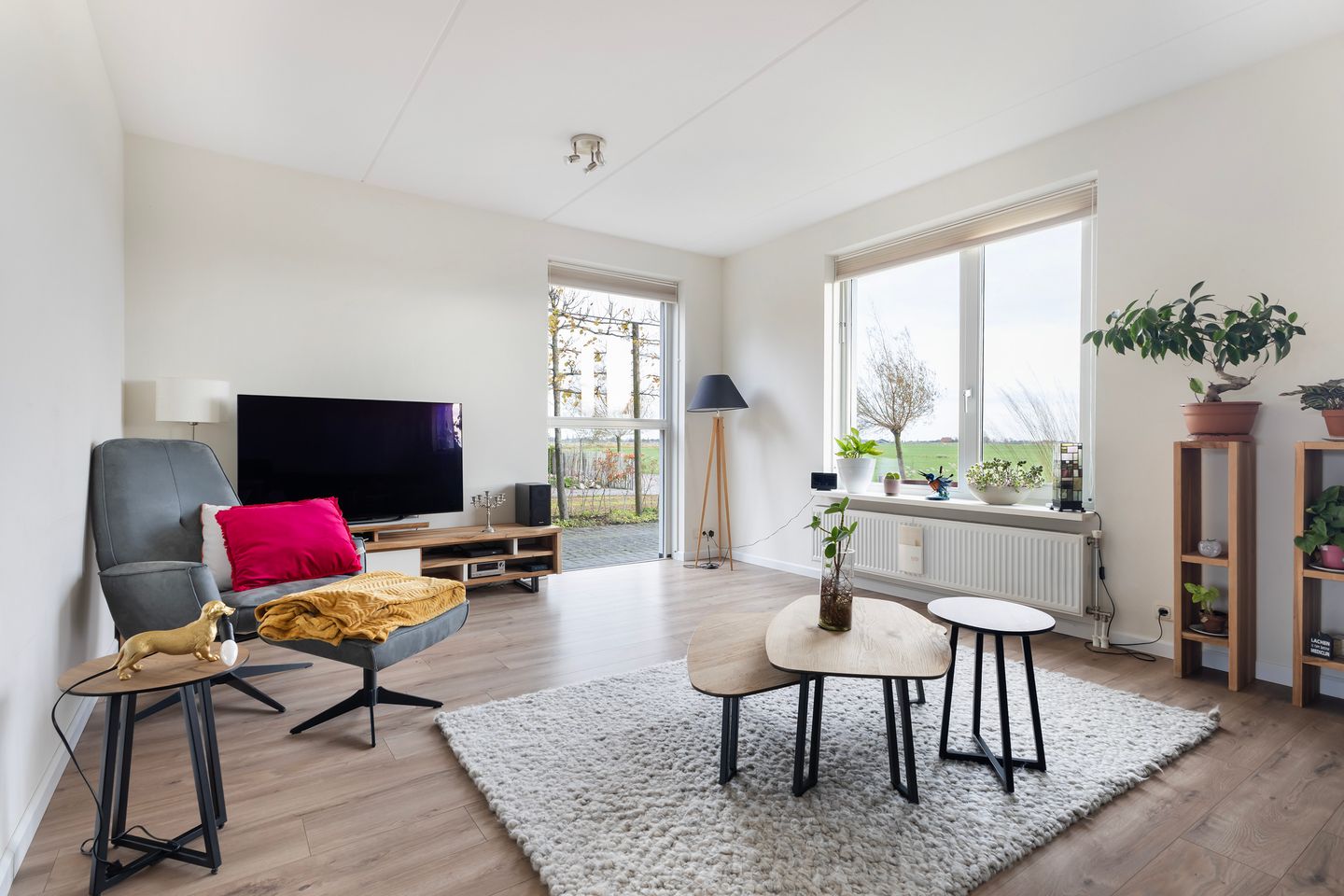 Foto 4 van It Blauleech 54