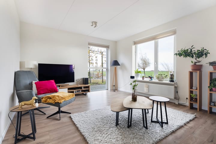 Photo 4 of It Blauleech 54