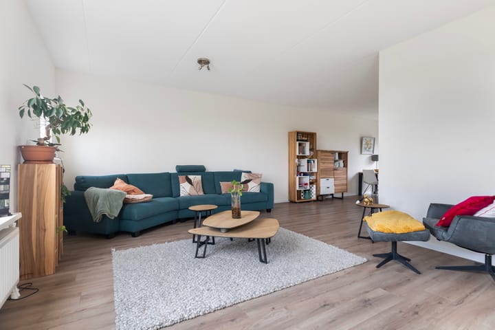 Photo 6 of It Blauleech 54