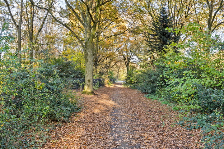 Foto 37 van Staringstraat 84