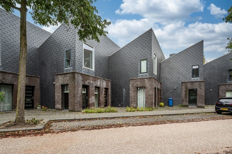 Biezenknoppen thumbnail