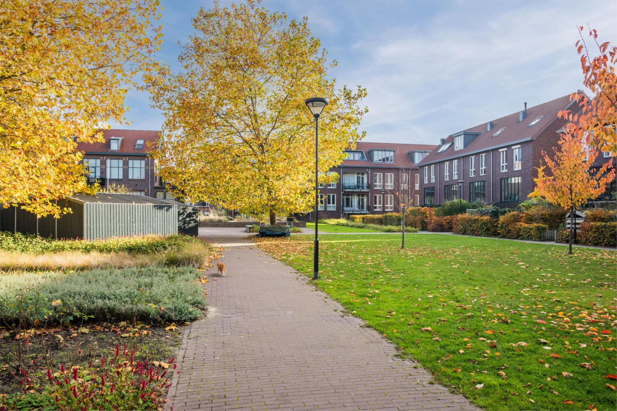 Foto 54 van Willem ten Rijnestraat 12