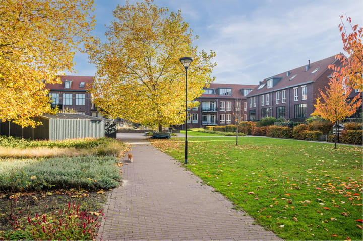 Photo 54 of Willem ten Rijnestraat 12