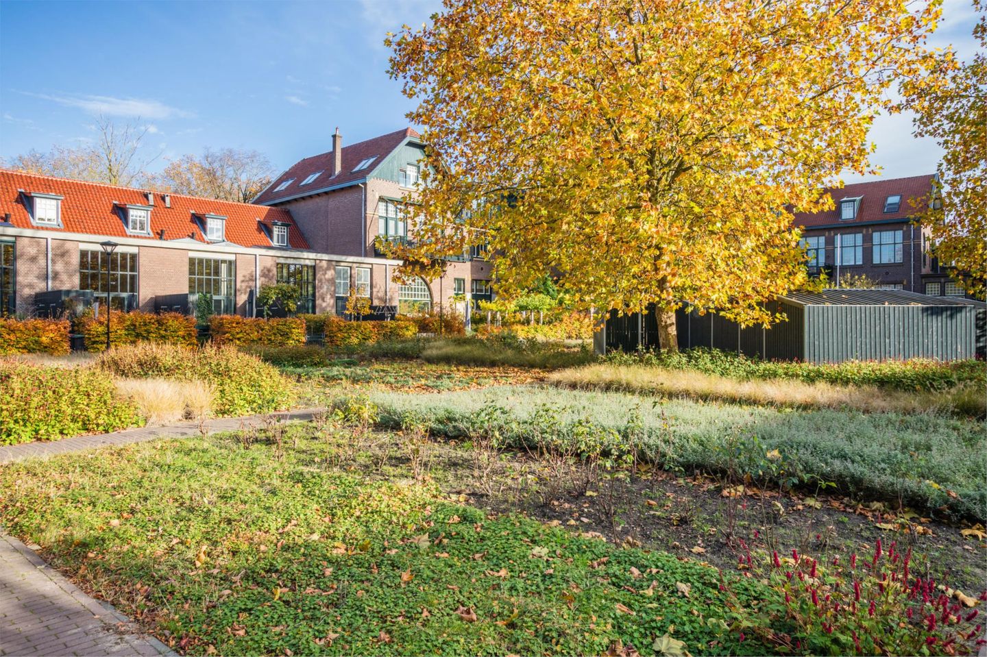 Foto 55 van Willem ten Rijnestraat 12