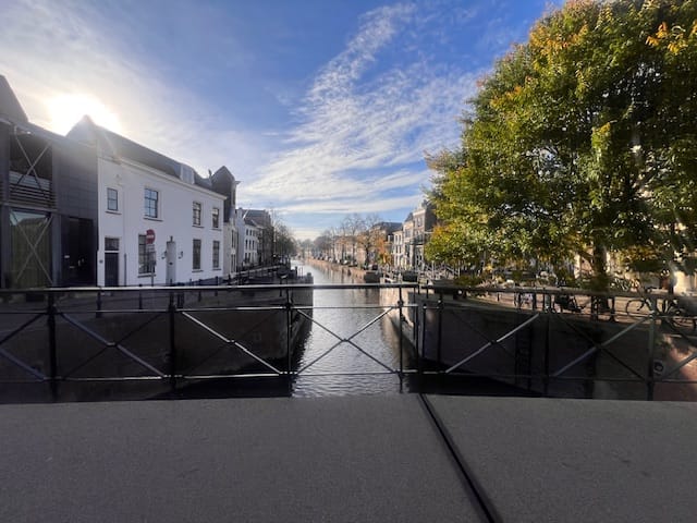 Foto 24 van Hoogstraat 151-B