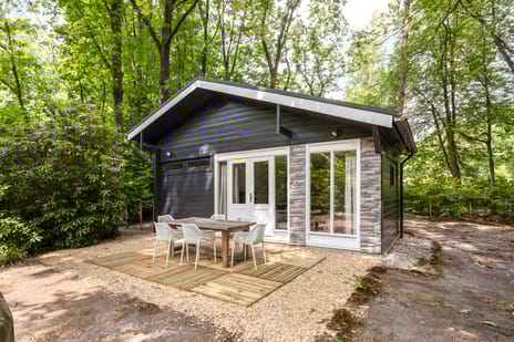 De Stille Wille thumbnail