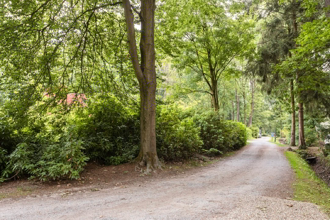 Foto 22 van De Stille Wille 49