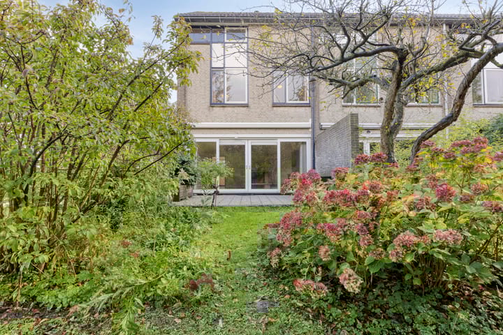 Foto 2 van Rietkraag 41