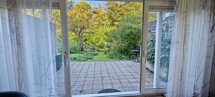 Foto 11 van Rietkraag 41