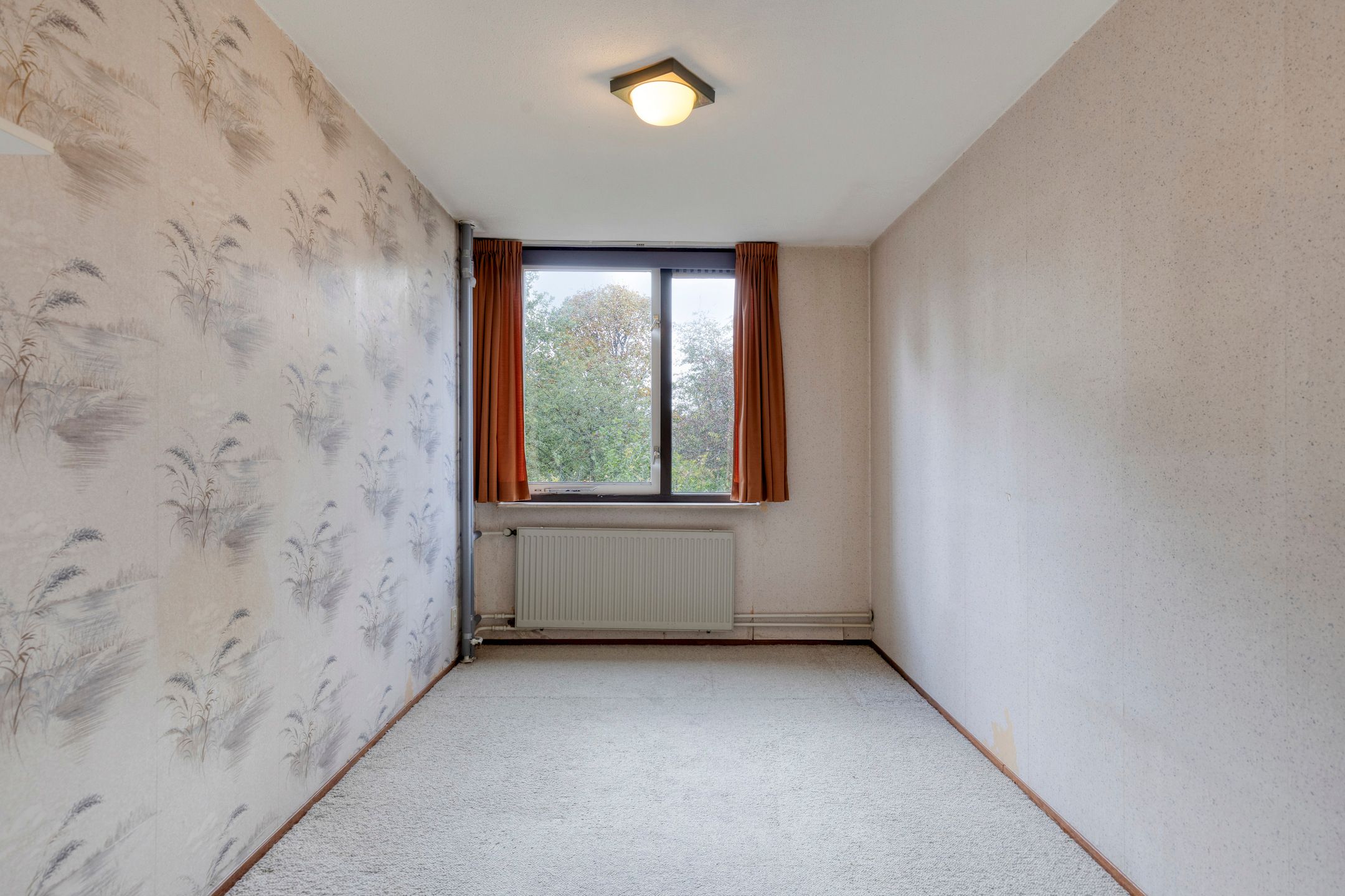 Foto 21 van Rietkraag 41