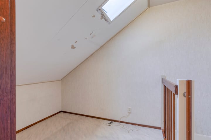 Foto 26 van Rietkraag 41