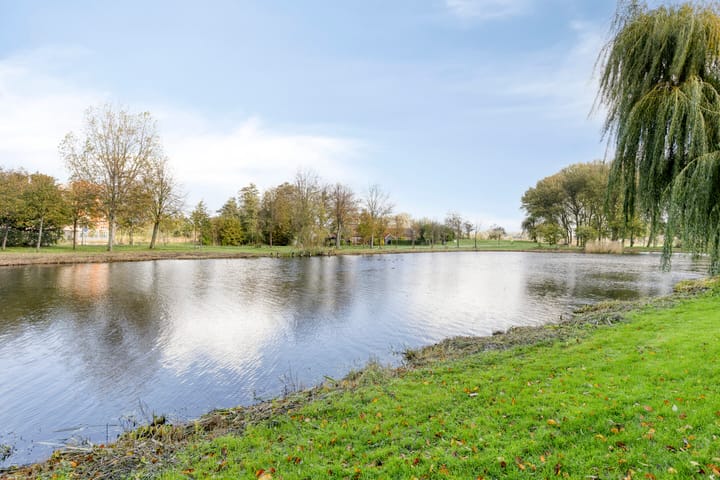 Foto 33 van Rietkraag 41