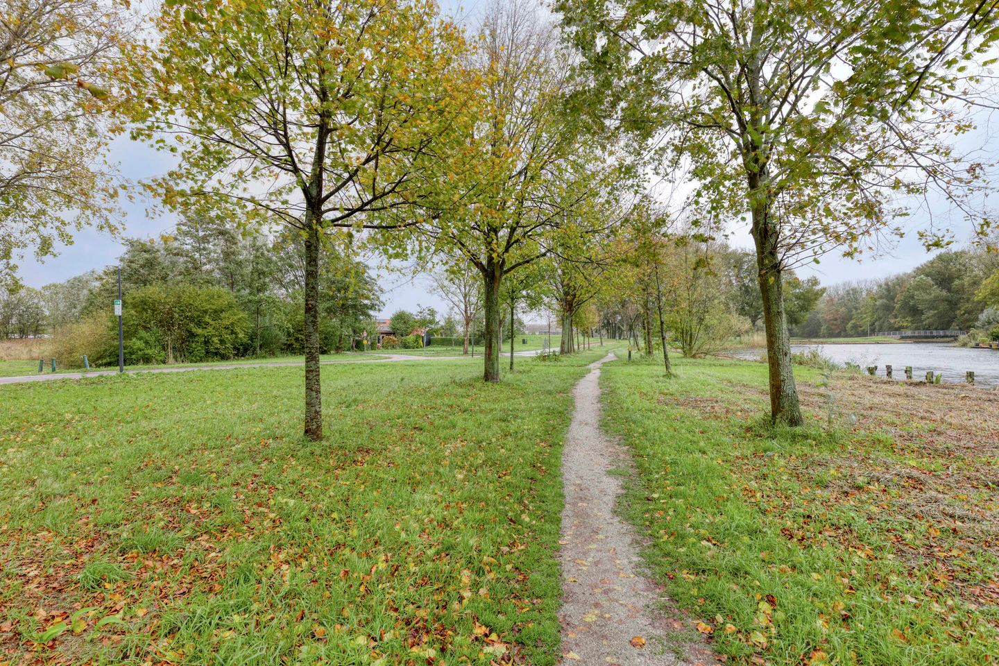 Foto 35 van Rietkraag 41