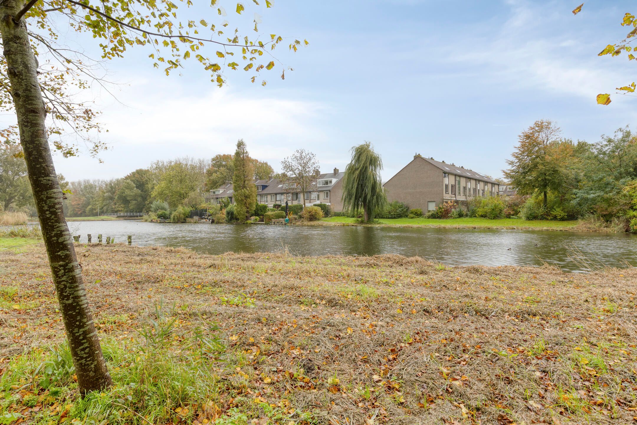 Foto 36 van Rietkraag 41