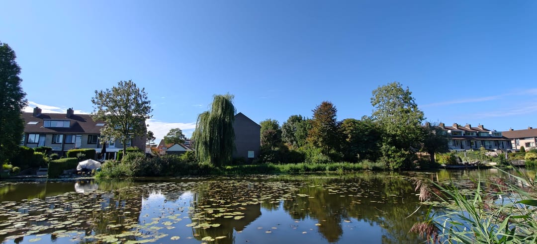 Foto 38 van Rietkraag 41