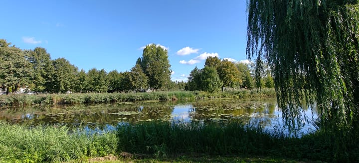 Foto 39 van Rietkraag 41