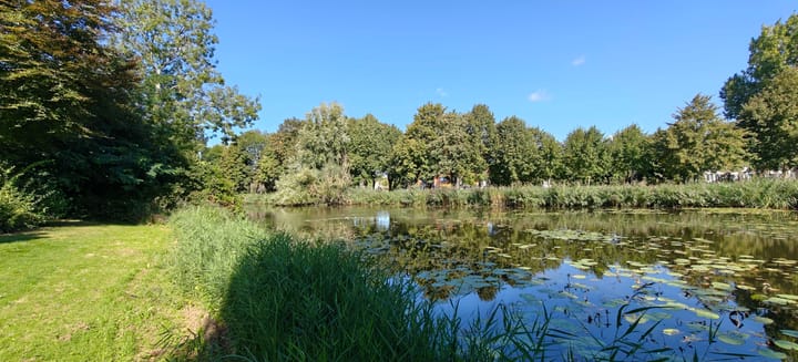 Foto 40 van Rietkraag 41