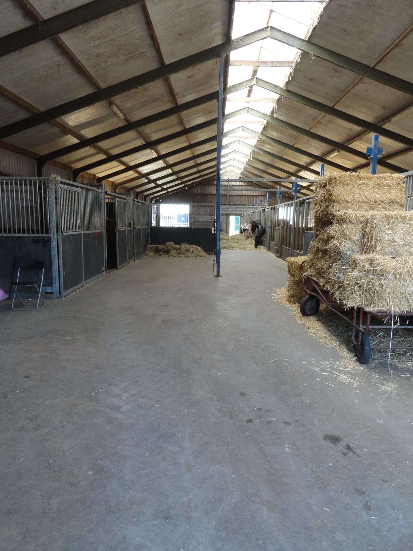 Bekijk foto 3 van Wilgenweg 32