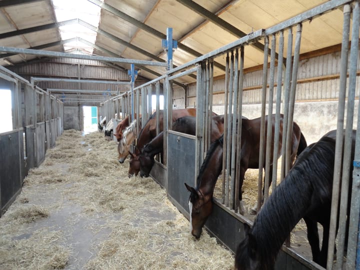 Wilgenweg 32, Pijnacker