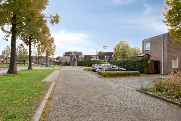 Foto 25 van Jol 10 47