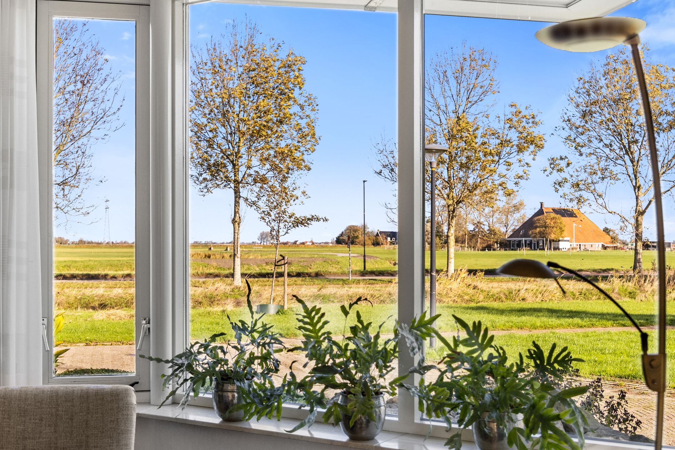 Photo 9 of De Ljip 11