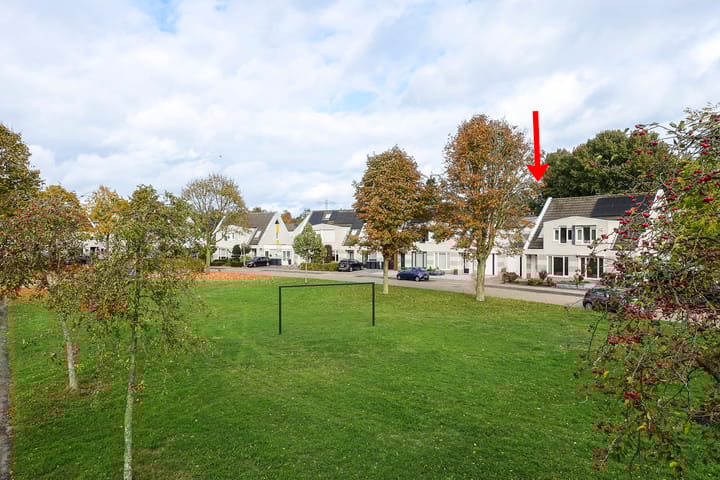 Foto 2 van Raamhof 35