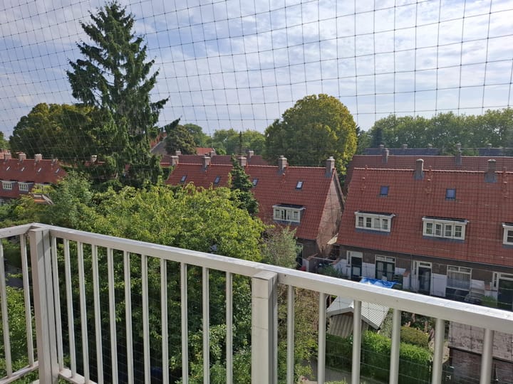 Foto 5 van Groene Hilledijk 434-C