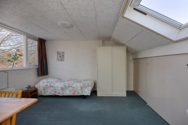 Foto 19 van Prins Bernhardlaan 169