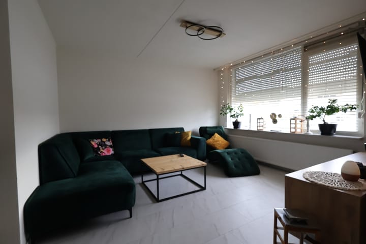 Foto 2 van Terborgh 29