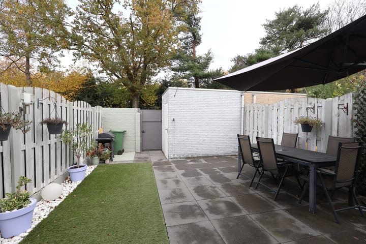 Foto 13 van Terborgh 29