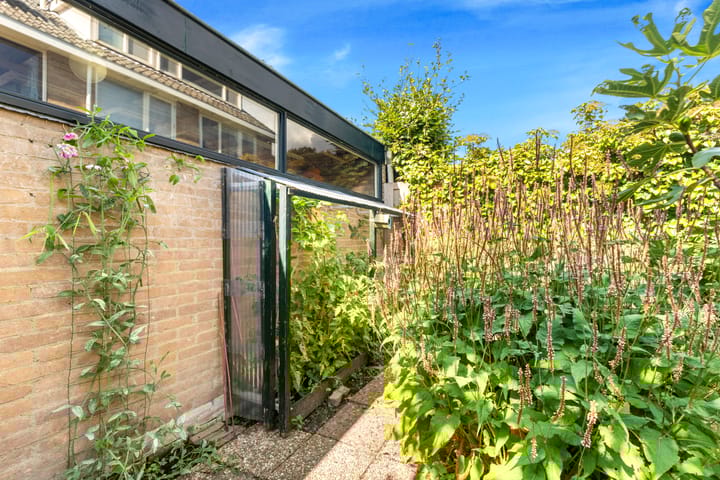 Photo 39 of Braveld 18