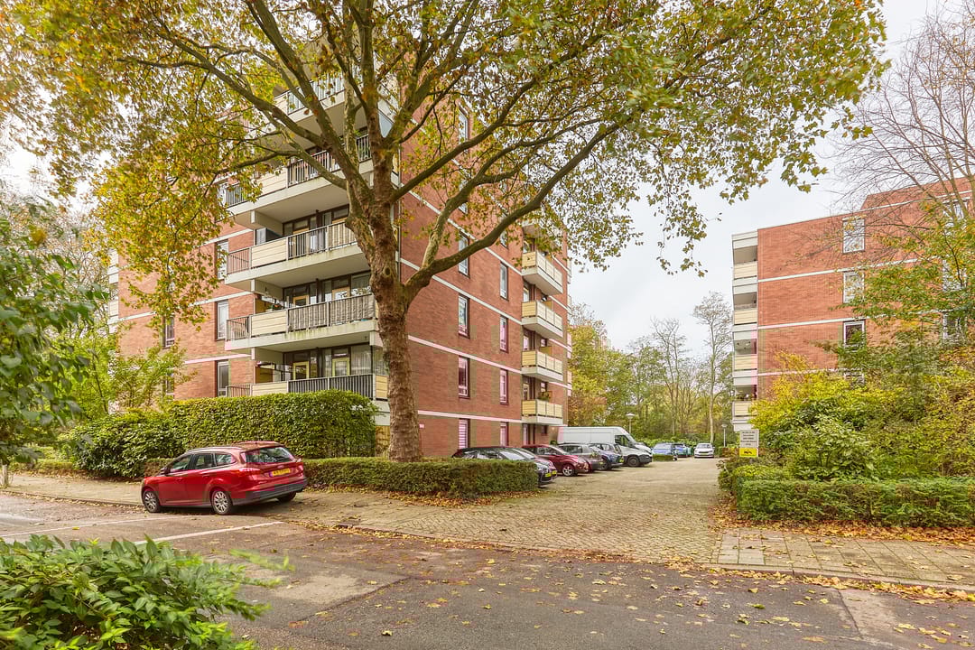 Foto 38 van Melis Stokezijde 244