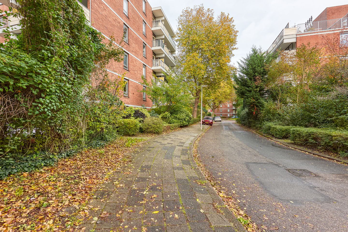 Foto 40 van Melis Stokezijde 244