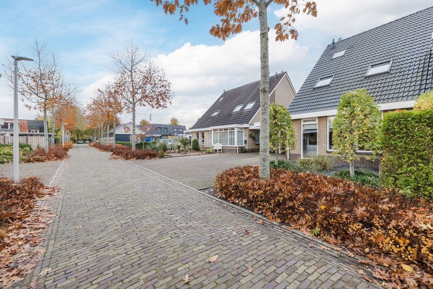 Foto 49 van De Eikelaars 5