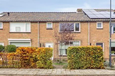 undefined main image