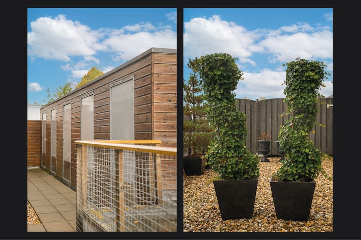 Photo 38 of Dorpsstraat 6