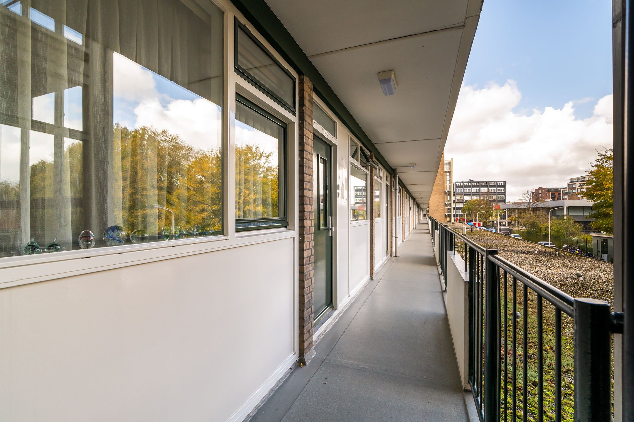 Foto 9 van Papsouwselaan 221