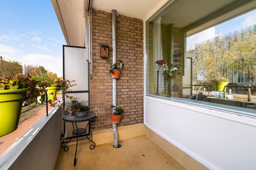 Foto 23 van Papsouwselaan 221