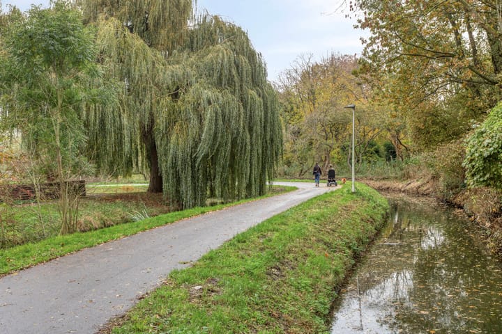 Foto 29 van Olijfgaard 41