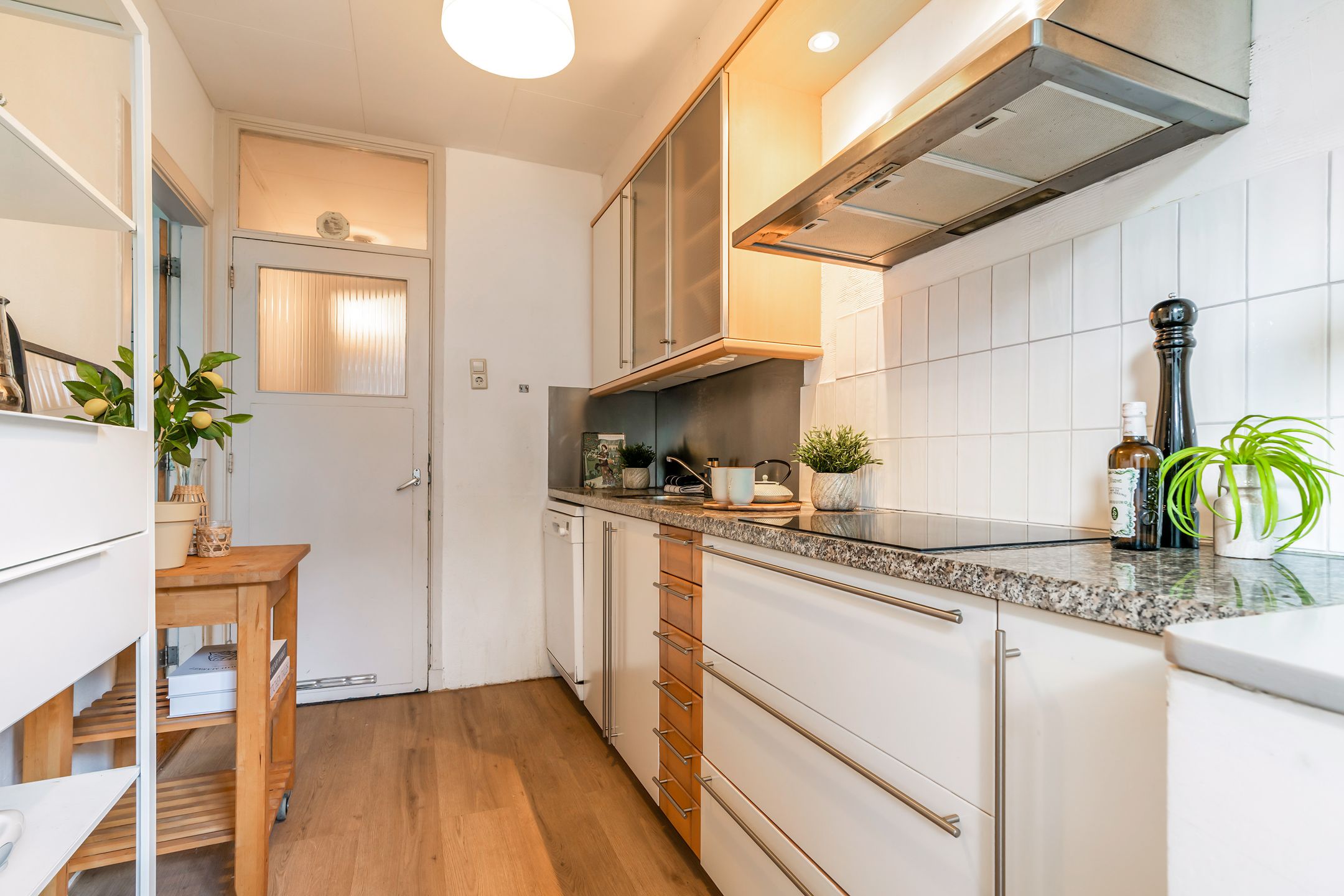 Foto 24 van Hugo de Grootstraat 294